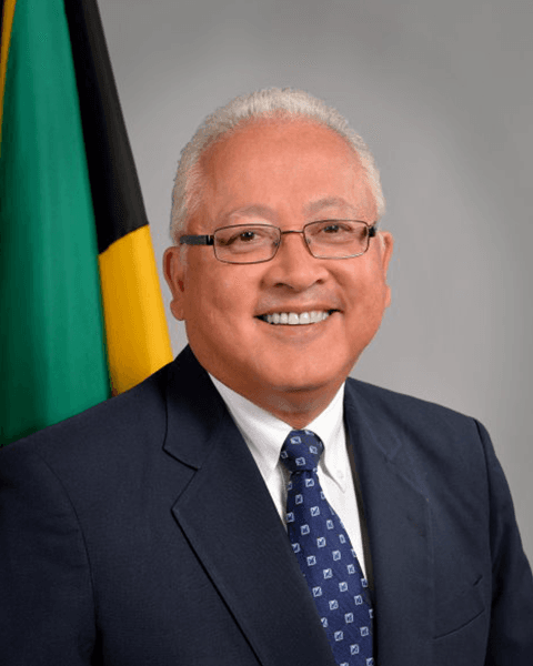 Hon. Delroy Chuck, KC, MP